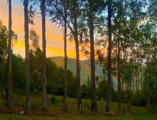 The sun sets over Gaia Sagrada - an Ayahuasca Retreat Center